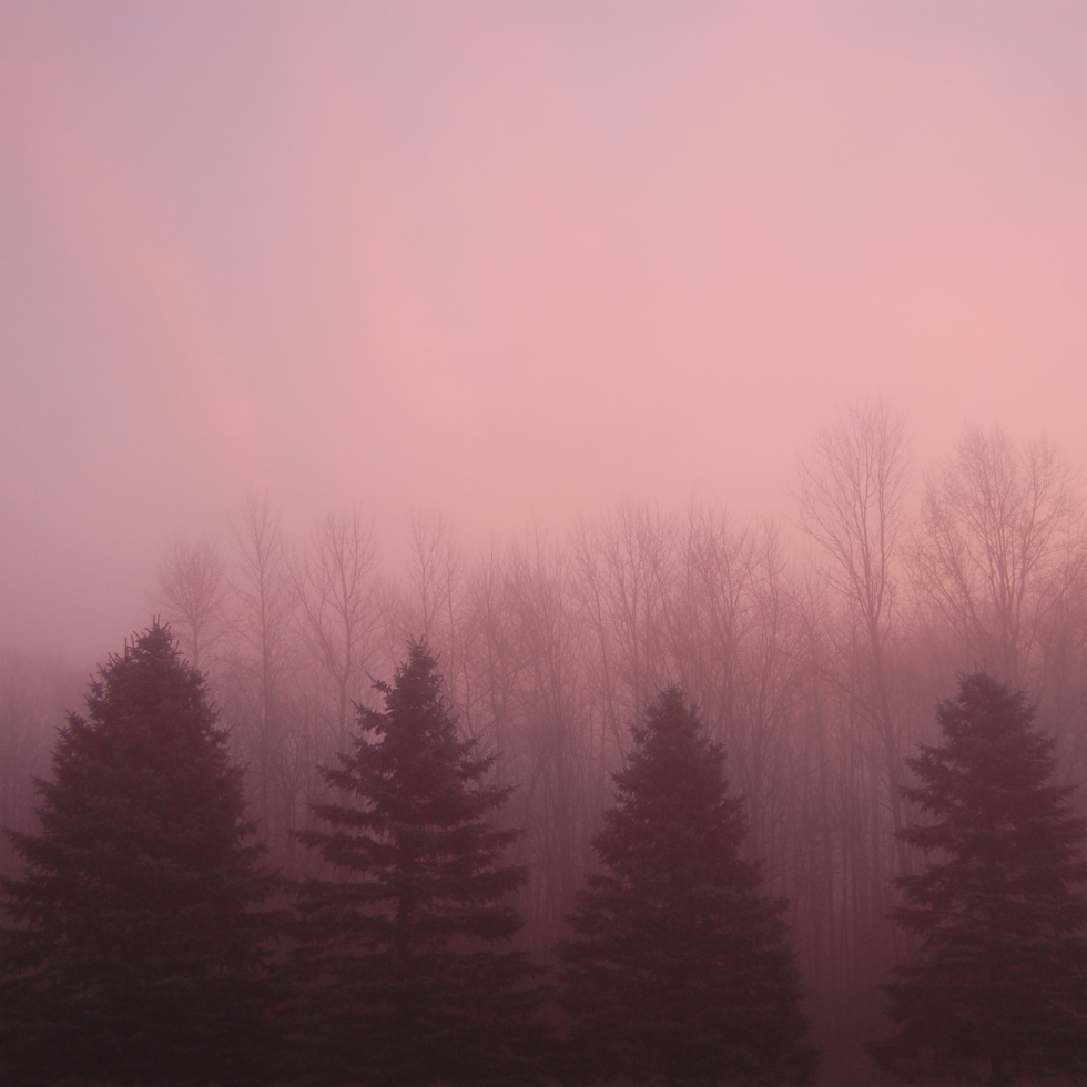 foggy sunrise